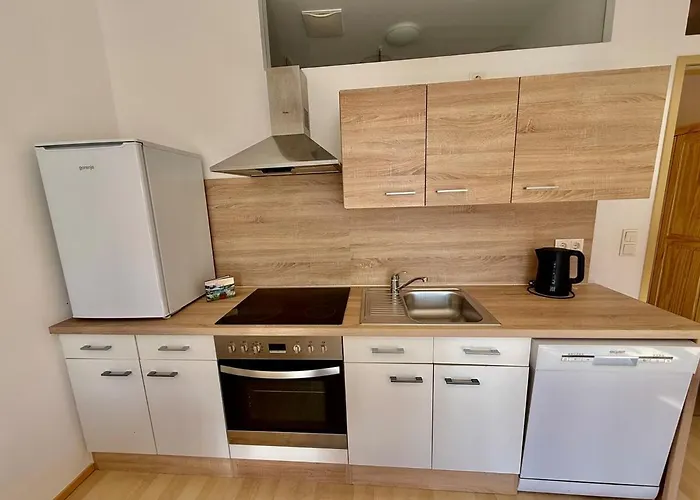 Fiorella Airport With Garden Schwechat